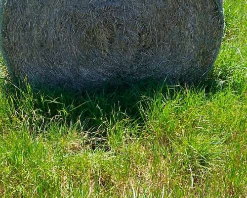 Rollos de Paja de Trigo y Cebada