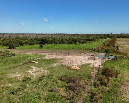 Ambrosetti, Santa FE. Venta 72 HA. Campo Mixto.
