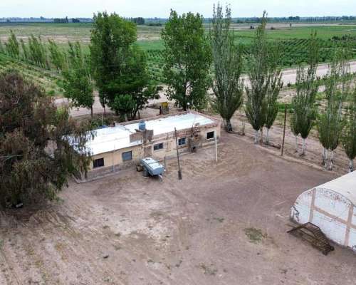 Finca 45ha Chapanay, Dos Pozos, Cultivos y Parte para Chacra