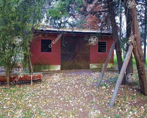 Campo 130 Has en Venta Chascomus.ideal Cria de Caballos