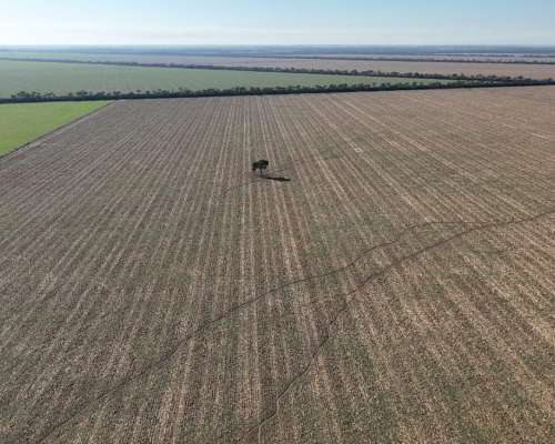 Averías, Taboada, Santiago del Estero - 1.625 Ha