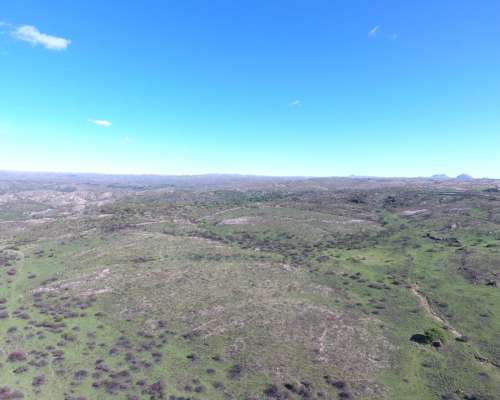 Coronel Pringles -456 HA- San Luis