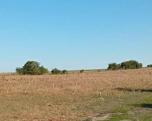 120 Ha en Don Cristobal. Campo Mixto