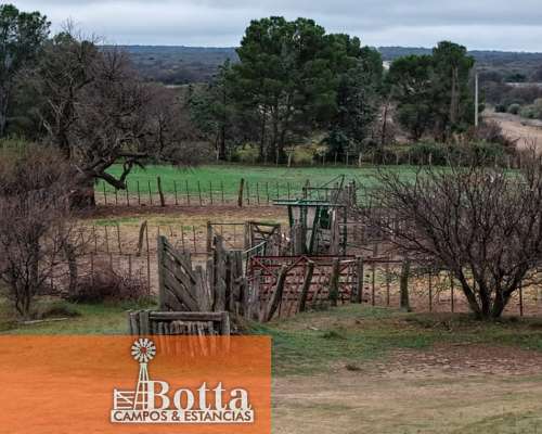 Campo Ganadero en Venta en Hucal, la Pampa