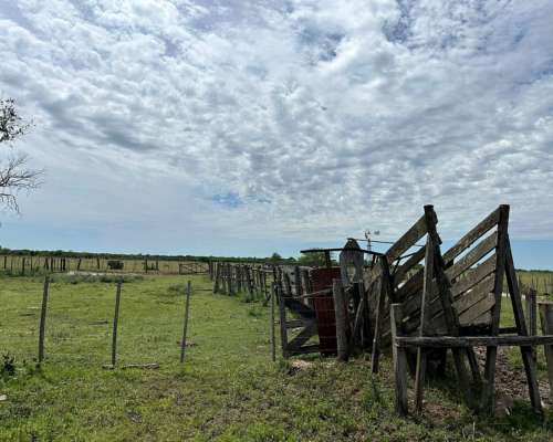 Venta Campo Ganadero Pilar Santa FE