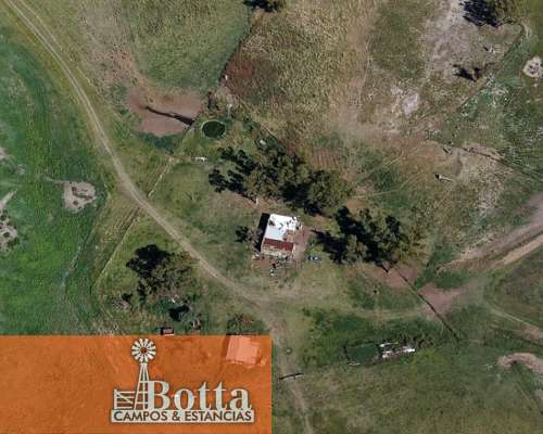 785has Mixtas en Venta en Carlos Casares