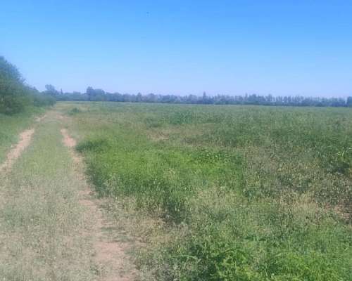 La Chacra 16 Hectáreas para Cultivo, Zona Cruz del Eje