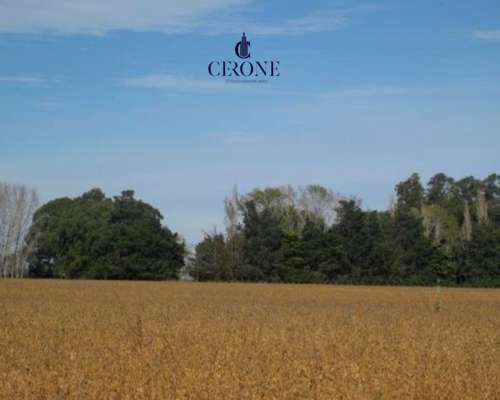 Campo - 103 Hectáreas - Agrícola - Mechongue - Sobre Ruta