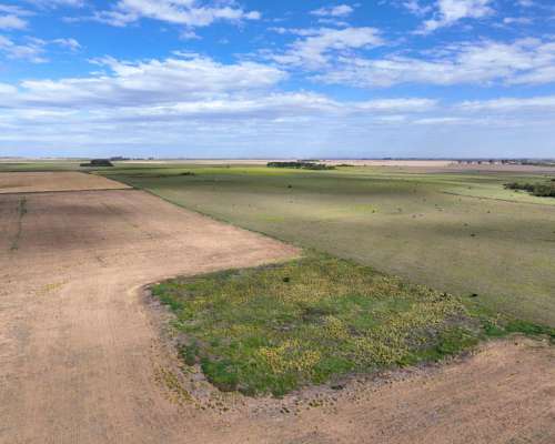 Pcia. de Cordoba - Sampacho 601 Has