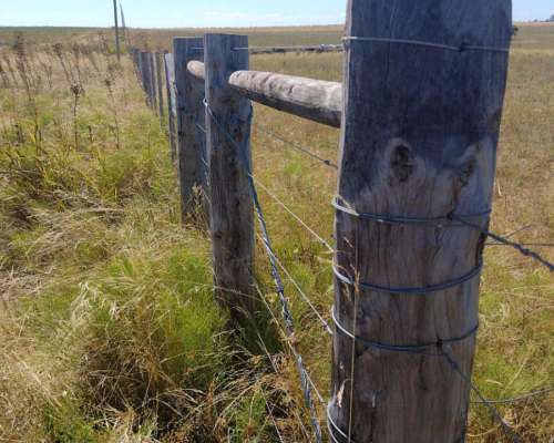 Campo Agricola Ganadero de 35 Hectareas