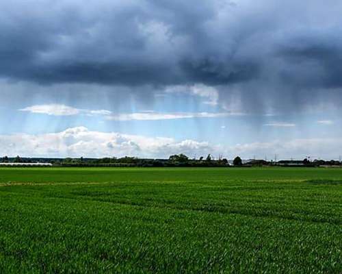 1300 Ha en Venta en Carhue BS AS Mixtas con Mejoras