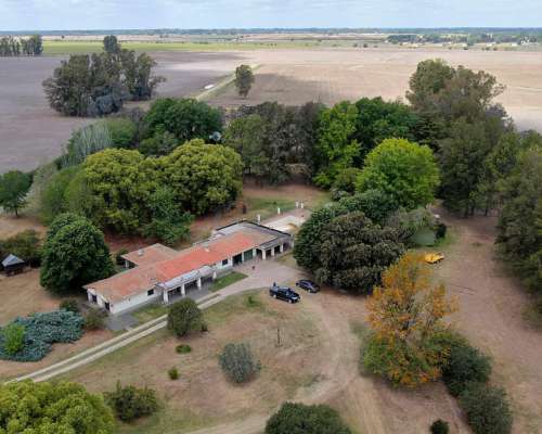 223 Has en Exaltación de la Cruz, BS. AS. - Haras/desarrollo