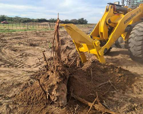 Desraizador Frontal . Apto Cargadoras