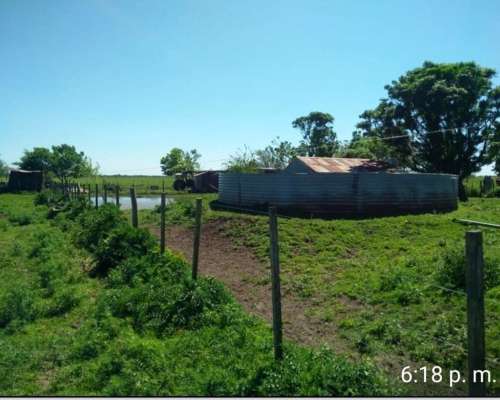 Vendo 110 Hectáreas Ganaderas