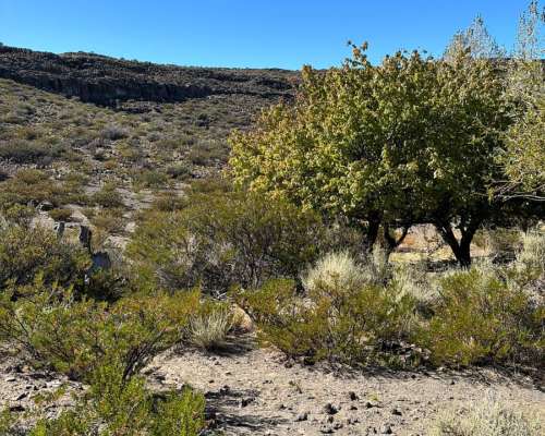 Campo Ganadero 6400 Has Telsen Chubut