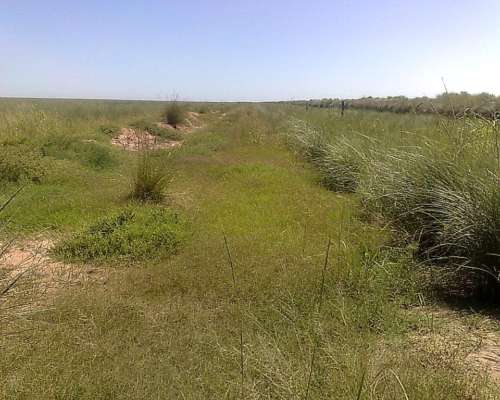 2600 Hectareas Entre Ceres y Selva, Mixto Alquilo Sisa