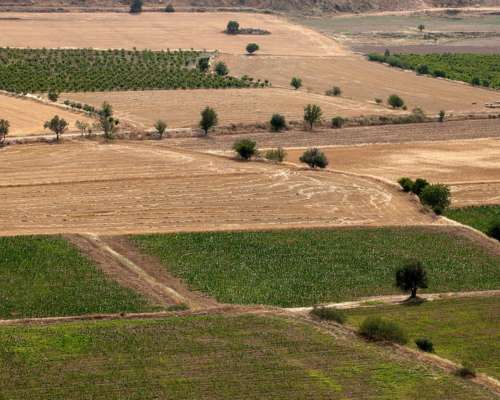 Alquiler de Campo en Chaco - 2000 Ha