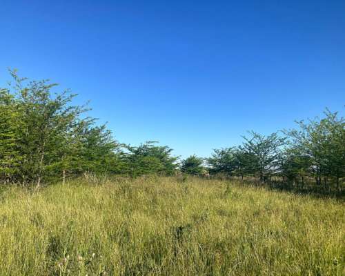 General las Heras- 28 Ha -buenos Aires