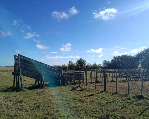 470 Ha Ganadero Chascomus
