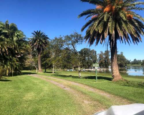 Campo en Venta – 50 Ha en Monasterio, Sobre Ruta 2. con Casc