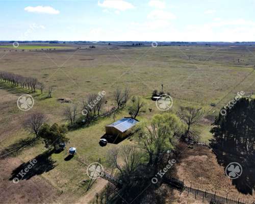Campo en Venta de 288 Has en Magdalena