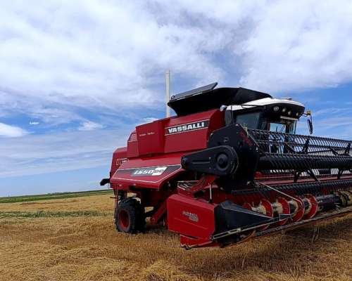 Vassalli 1550 EHD 2023. 30 Pies