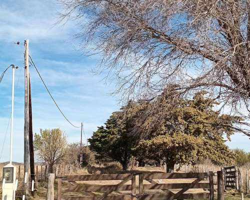 Dueño Vende Finca en Córdoba (ischilin) Argentina.