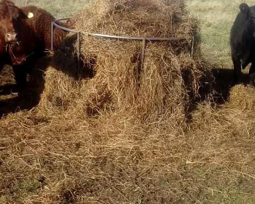 Aro Porta Rollo de Caño Mayor Resistencia
