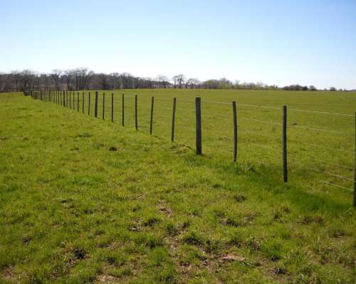 436 Has. en Venta - Santa Lucia, San Pedro - Buenos Aires.