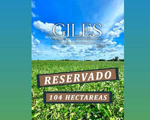 Oportunidad 104 Hectáreas Agricolas