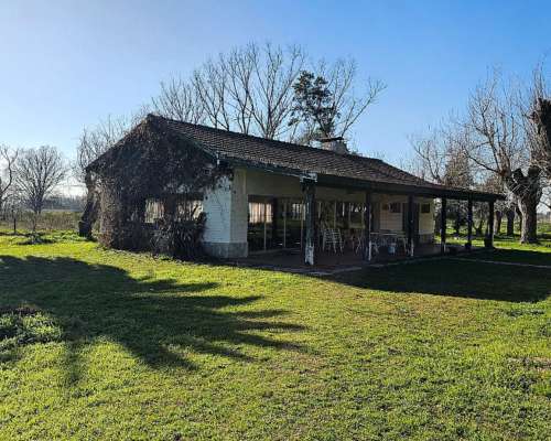 71 Has. Campo Agrícola con Mejoras y Arboleda en Torres