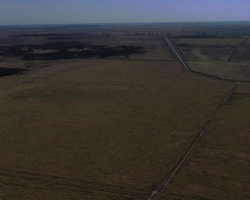 Córdoba Devoto al Oeste 375 Has Ganaderas/mixtas