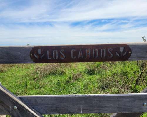 En Venta Campo Mixto de 121 Has en Ingenio Moneta San Pedro