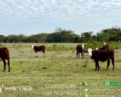 419 Has - Pcia del Chaco, Villa Río Bermejito