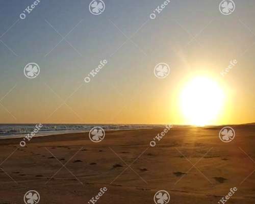 Campo en Venta de 120 Has en Tres Arroyos