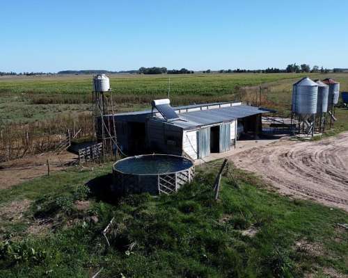 Fondo de Comercio: Tambo en Producción (monte, BS. As.)