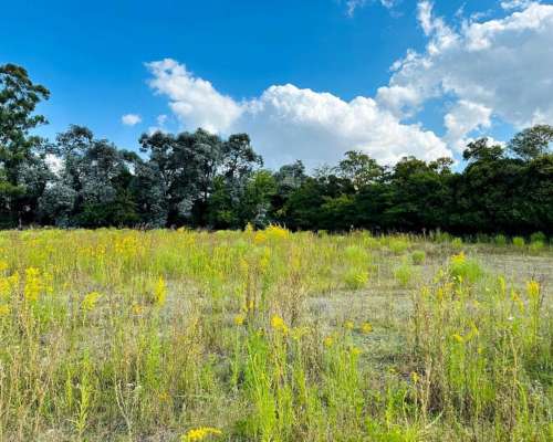 Mercedes, Buenos Aires - 14,5 Ha