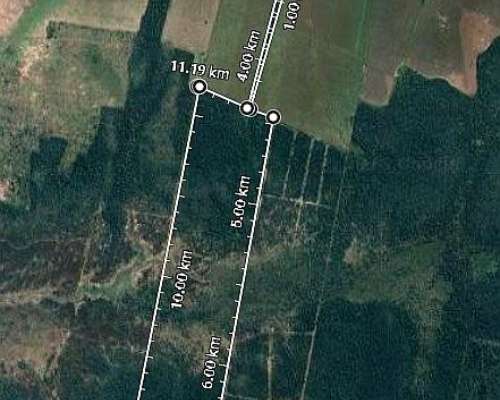 En Alquiler 165 Has Ganaderas. Buen Precio