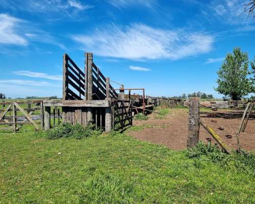 Se Vende Excelente Campo Ganadero