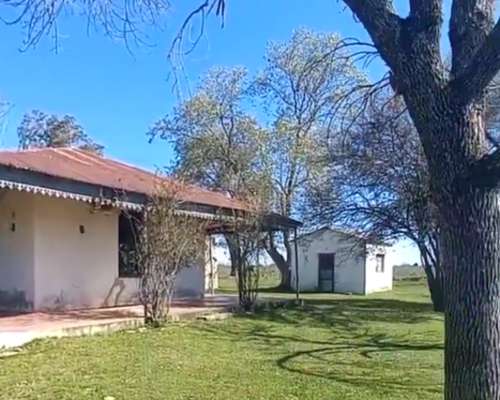Campo Ganadero 1010 Hectareas