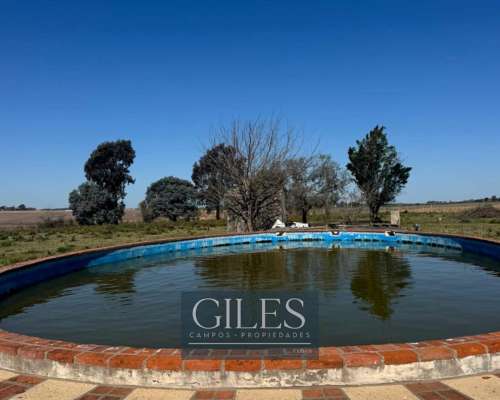 Campo Mixto 80 Hectáreas C/mejoras