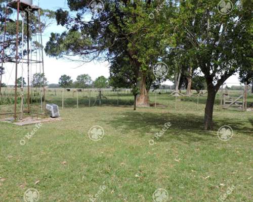 Campo en Venta 57 Has Punta Indio. Ganadero y Disfrute
