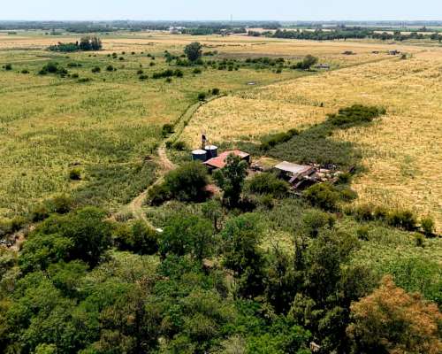 Campo en Cañuelas Ruta Nacional 205, Buenos Aires