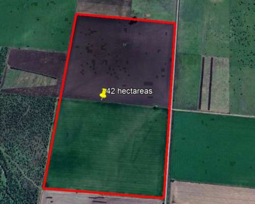 Campo de 42 Hectáreas Agrícolas