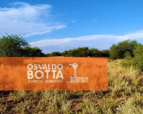 Campo en Venta 1250has Telen, la Pampa