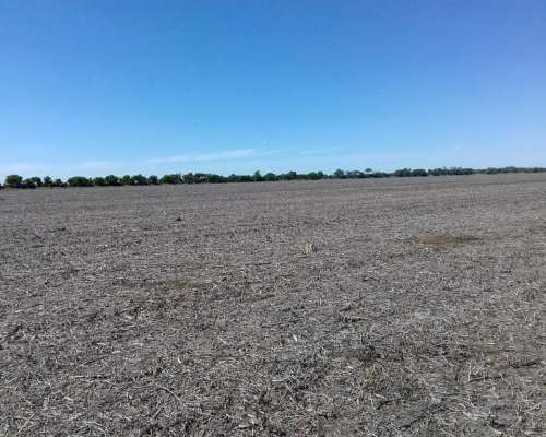 Lavalle 1180 Has Stgo del Estero Argentina