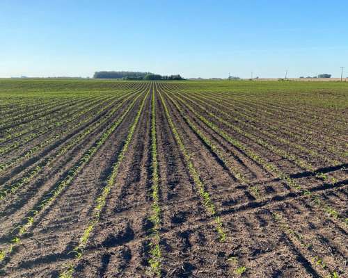 Lm Campos y Estancias