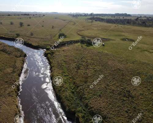 Campo en Venta 340 Has en Brandsen