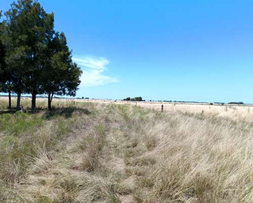 Campo en Venta en Magdalena - 226 Has a 1 Hora de Caba
