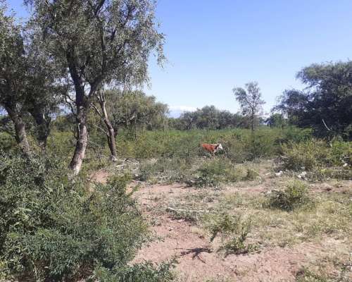 Campo Agricola Ganadero Ferlot en Catamarca